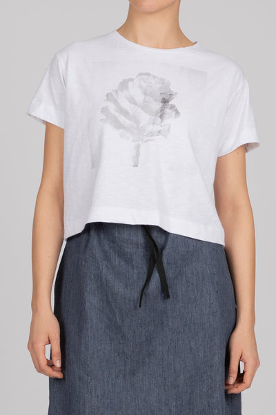 t-shirt cardo +